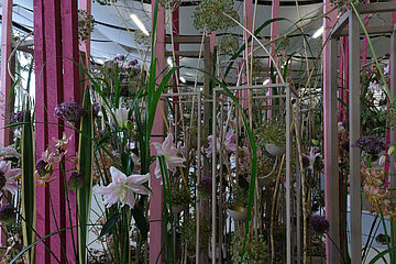 Image-13189