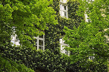 Image-12852