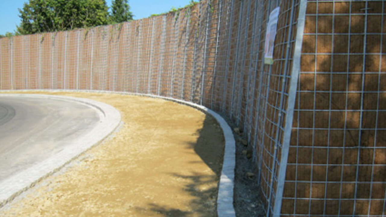 Grüne Hecke