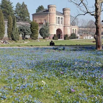 Botanischen Garten in Karlsruhe