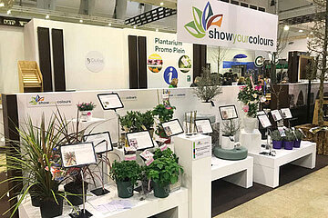 Show Your Colours Award