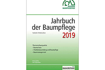 Baumpflege