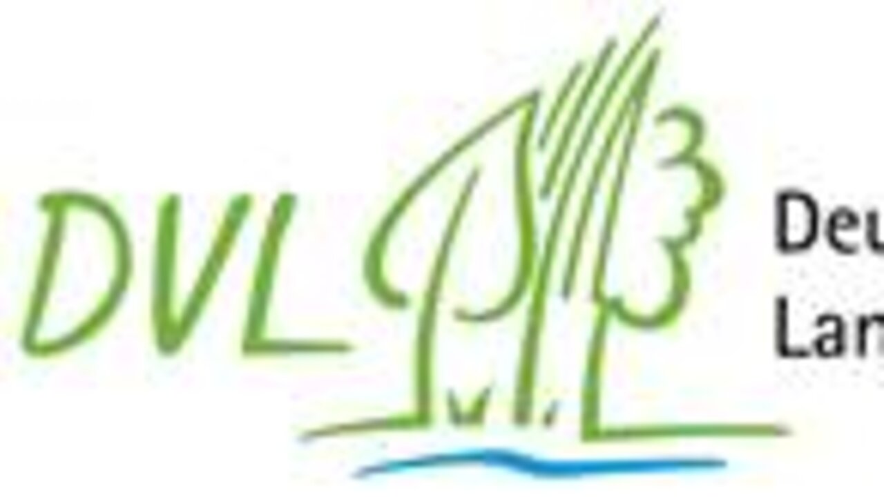 DVL Logo