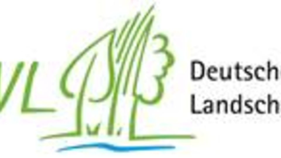 DVL Logo