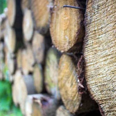 Holzpolder