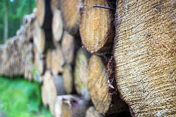 Holzpolder