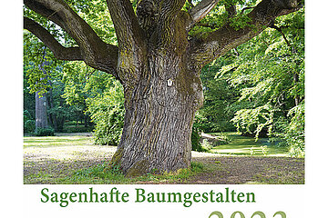 Baum