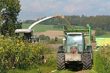 Biogasgewinnung