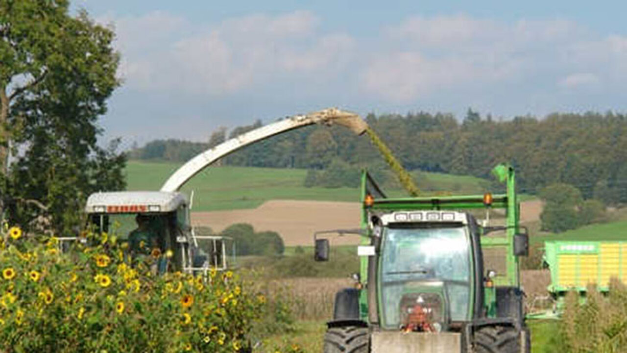 Biogasgewinnung