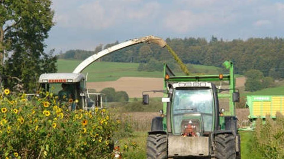 Biogasgewinnung