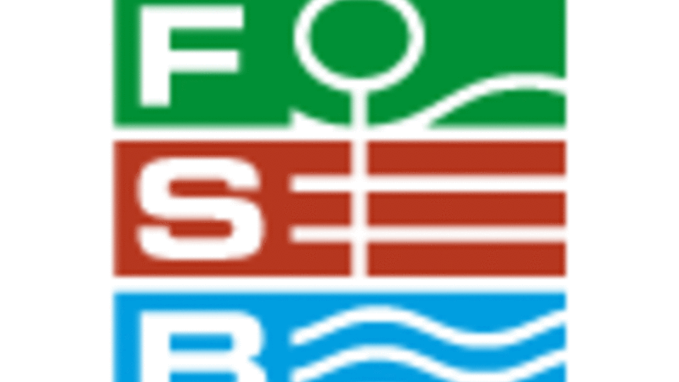 FSB Logo