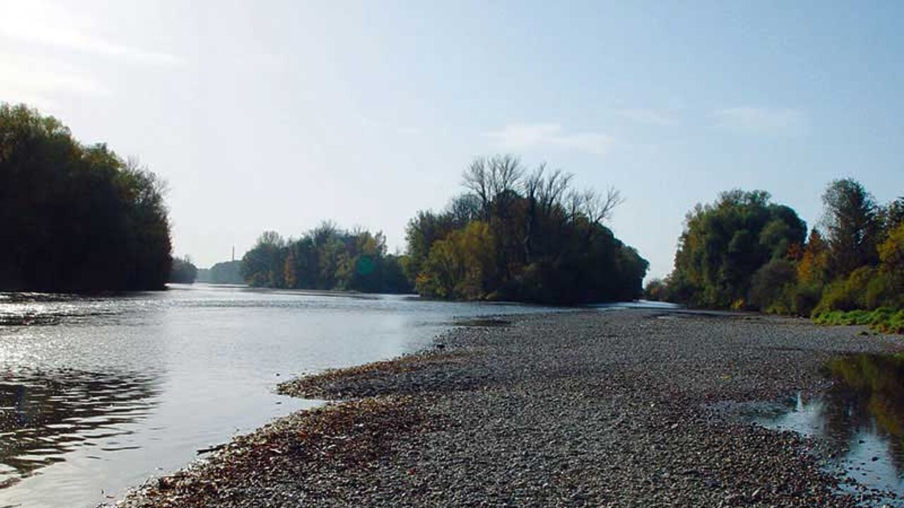 Offene Kiesbänke