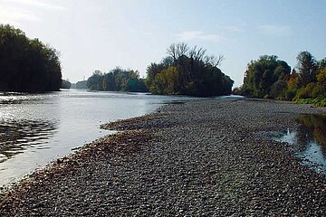 Offene Kiesbänke