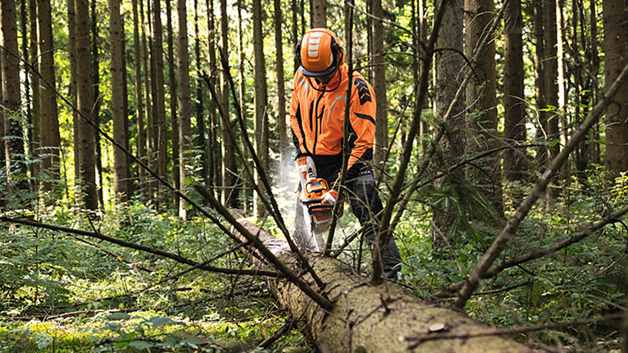 Stihl Motorsäge
