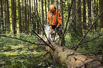Stihl Motorsäge