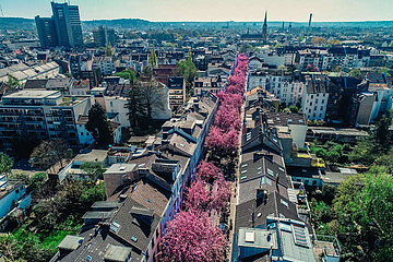 Image-17462