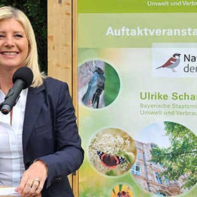 Ulrike Scharf