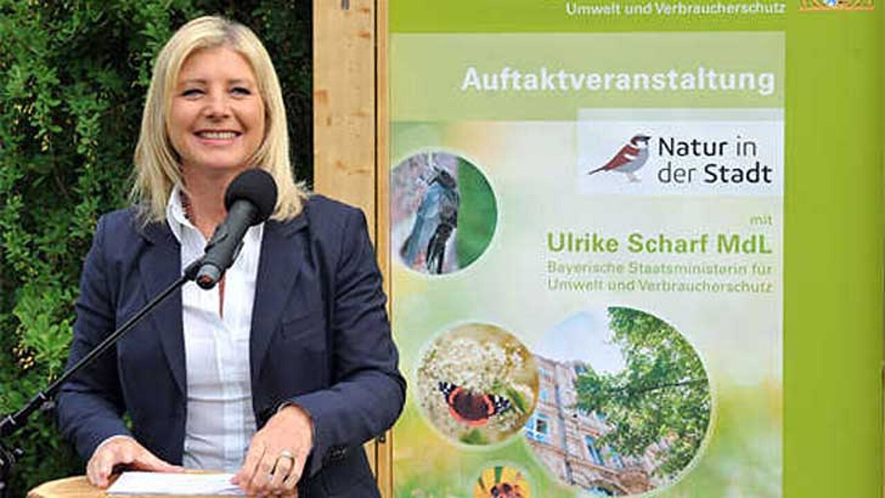 Ulrike Scharf