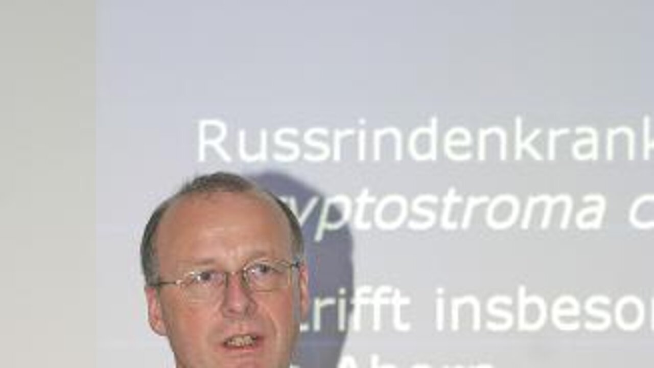 Prof. Dr. Rolf Kehr