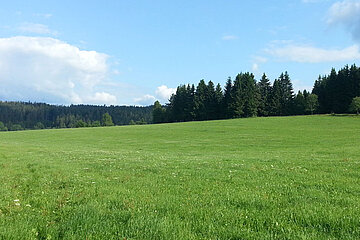 Umweltpolitik in Deutschland