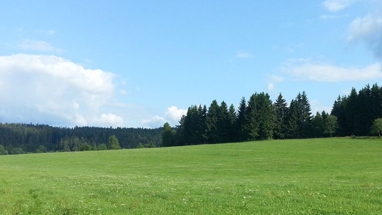 Umweltpolitik in Deutschland