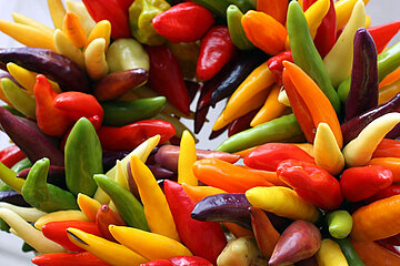 Chili-Schoten