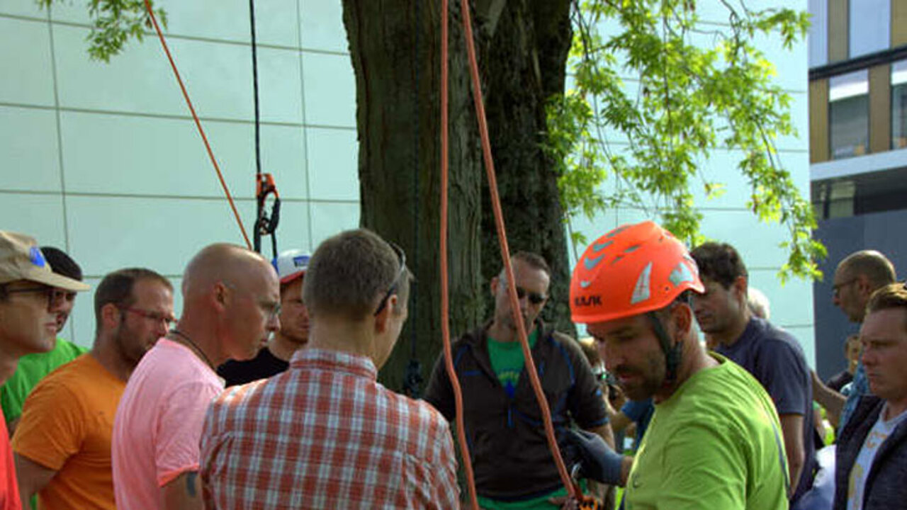 Kletterschulung