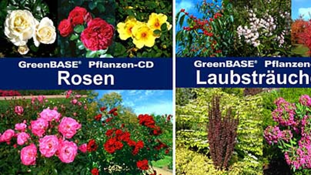 Pflanzen-CD-Serie