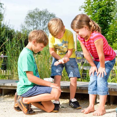 GARTEN TULLN