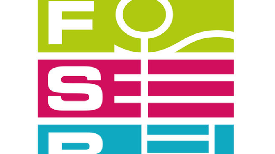 FSB 2019