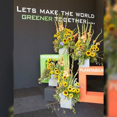 GROEN-Direkt