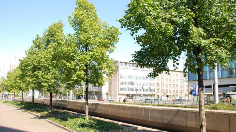 Stadtgrün