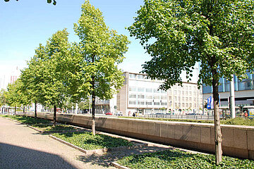 Stadtgrün