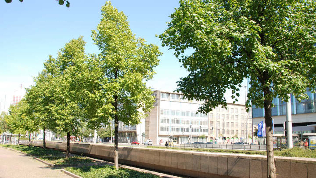 Stadtgrün