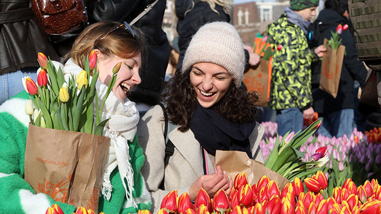 Strauß Tulpen