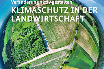 Image-16597
