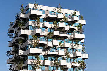 Gefa Stadtbäume