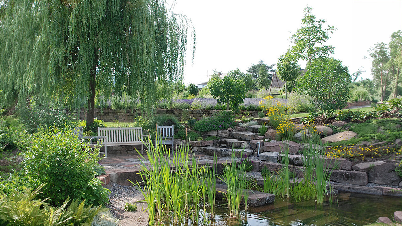 Schwammgarten