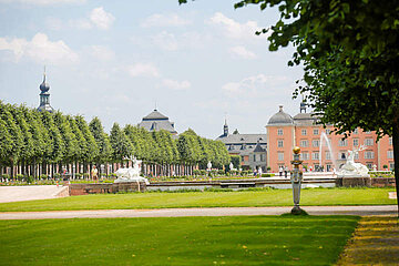 Image-18382