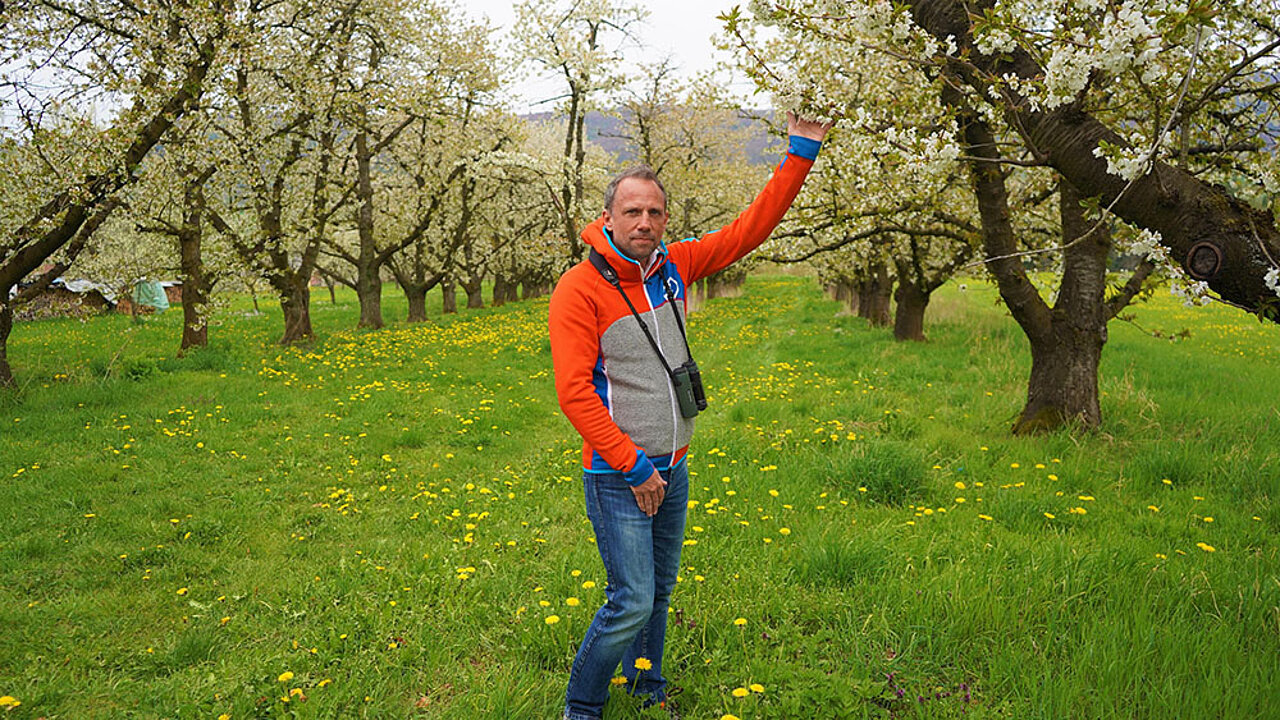Thorsten Glauber