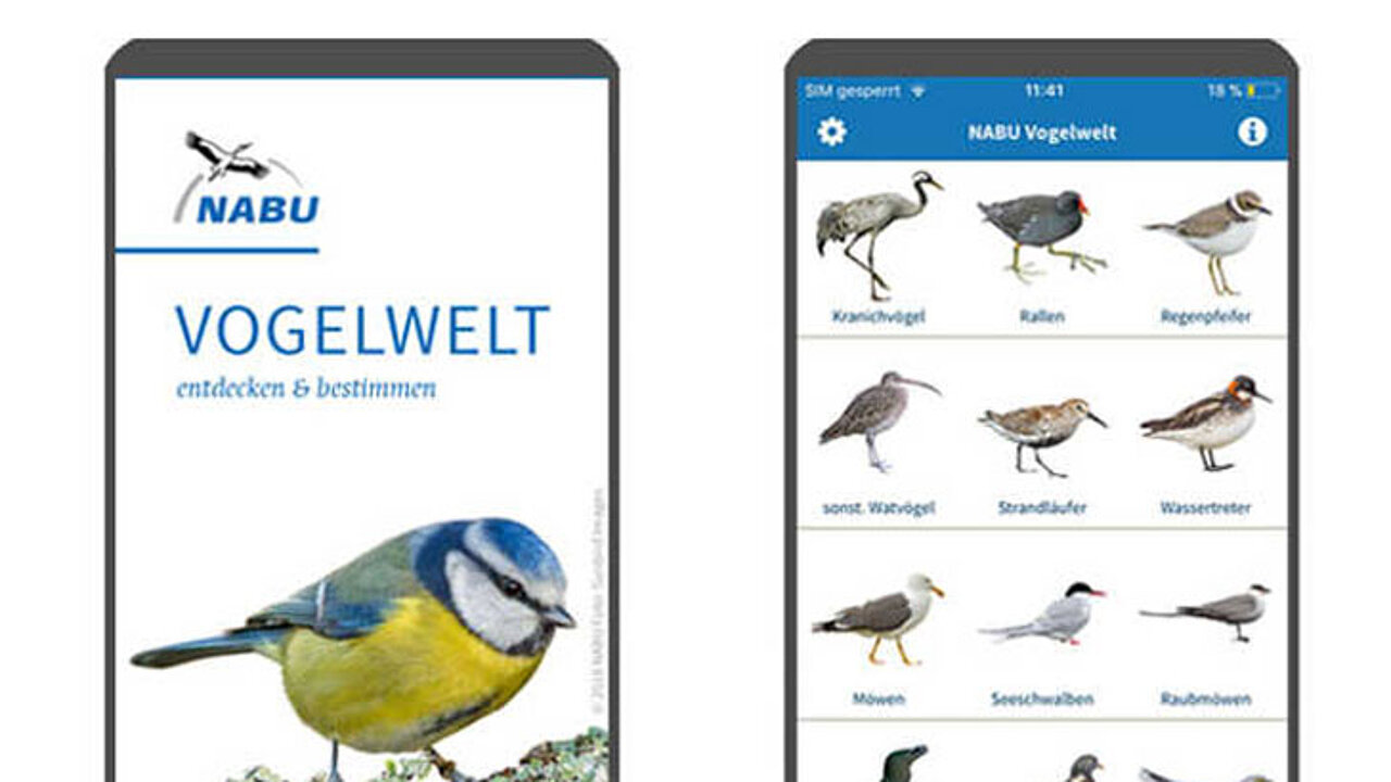 Vogelwelt