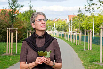 Susanne Böll