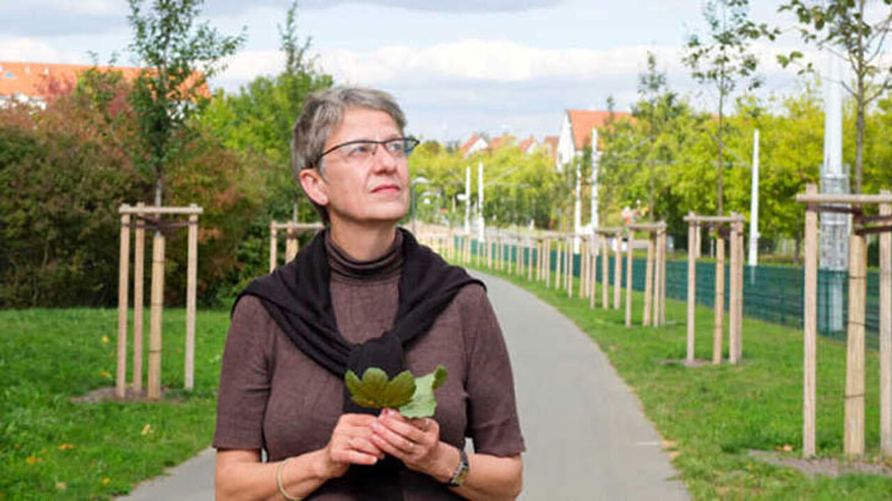 Susanne Böll