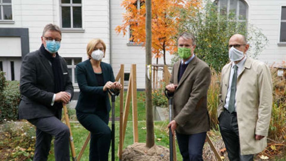 Klimabaum