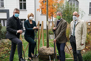 Klimabaum