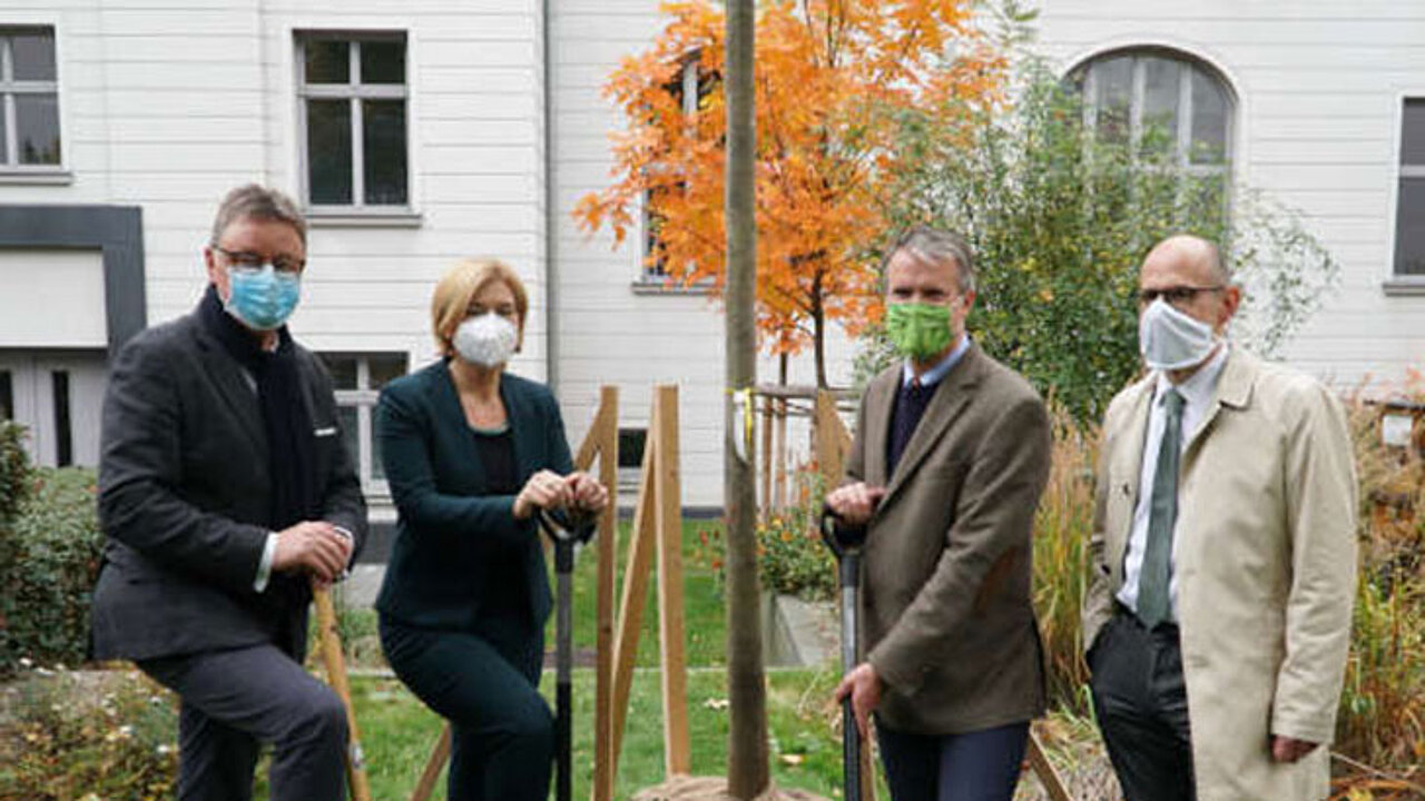 Klimabaum