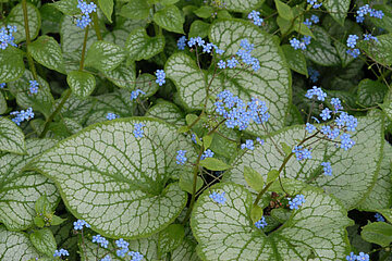 Image-18930