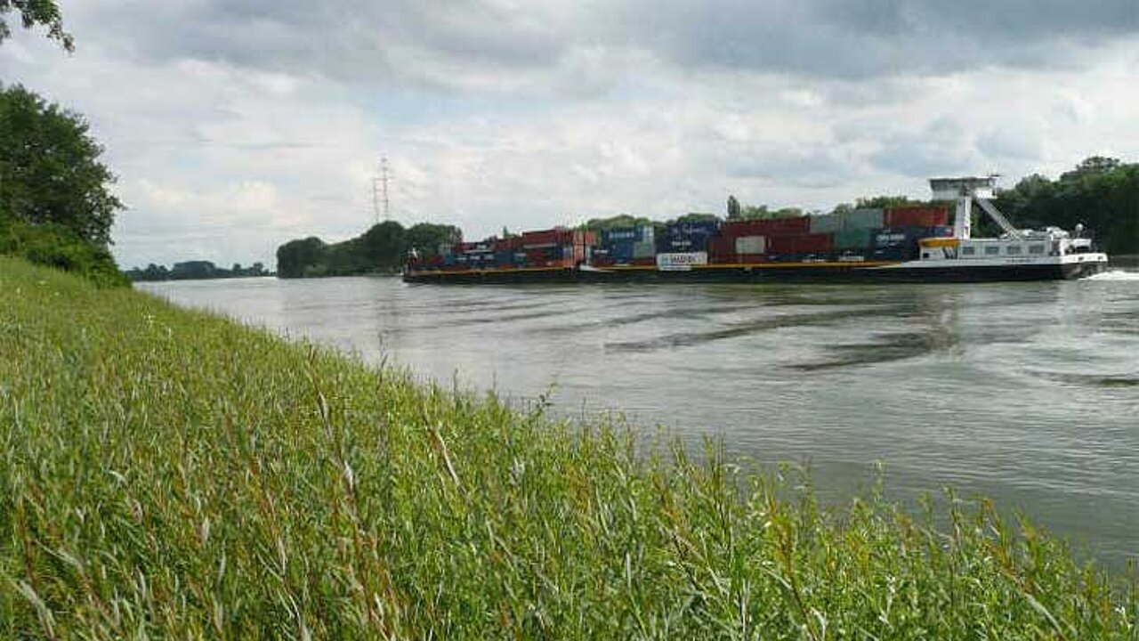 Weidenspreitlage