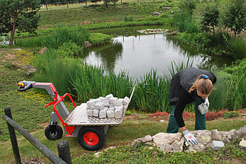 Elektrischer Minidumper TeMax