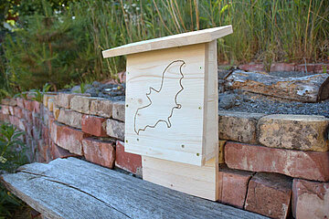 Image-13370